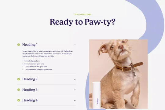 Accordion with Rich Text + Images Webflow cloneable
