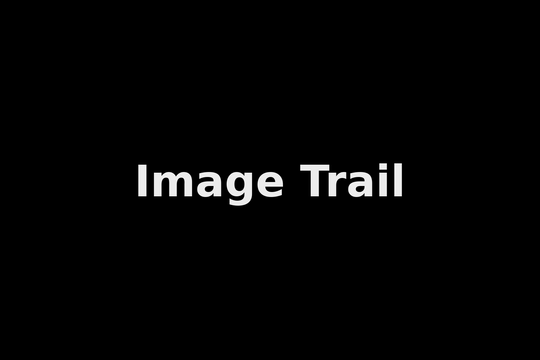Mouse Follow Trail Effect Webflow cloneable